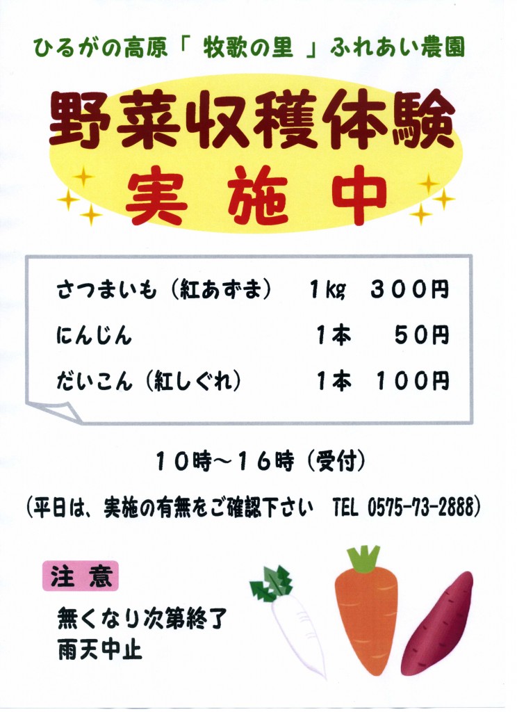 野菜収穫体験