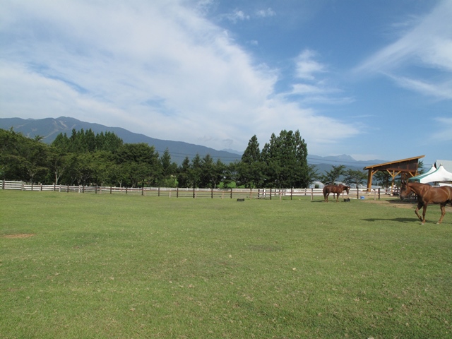 2016090203