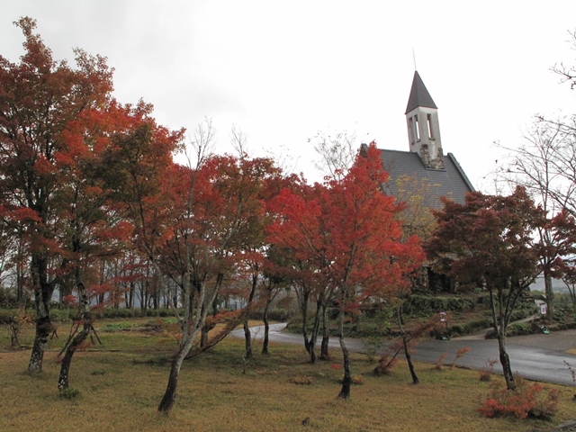 2016110102