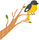 バードウォッチング ひるがの高原 牧歌の里 バードウォッチング ひるがの高原 牧歌の里