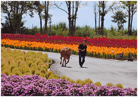 「るんちゃんと飼育員さんのおさんぽ」山形正明