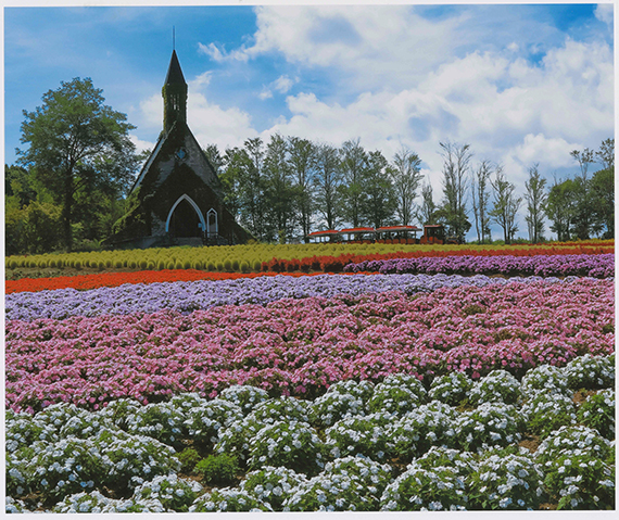 「色とりどりの花畑」福田弘子