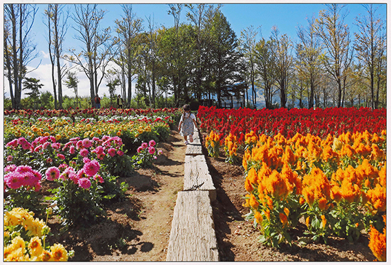 「秋を走る」深世古未来