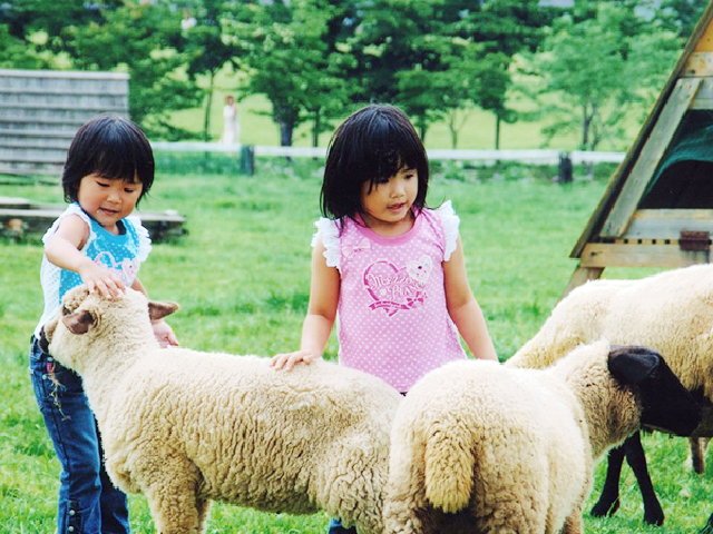 羊と子ども