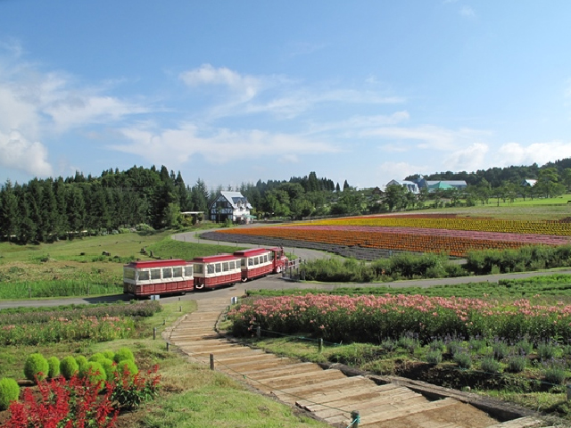 牧歌の里を回る列車