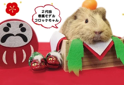 鏡もち+もる=鏡もる