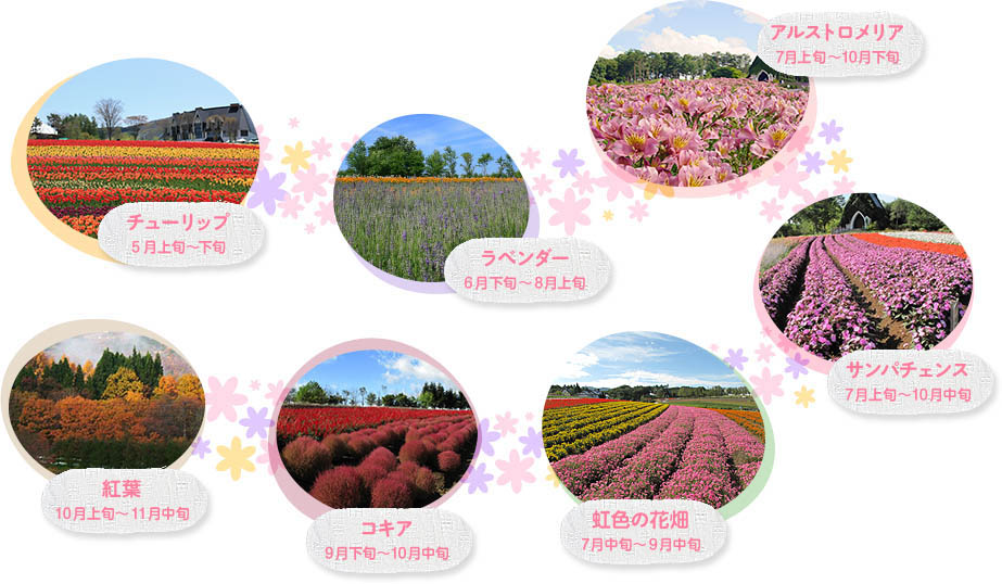 牧歌の里:各月の代表的な花の風景