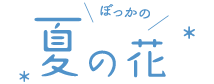 ぼっかの夏のお花