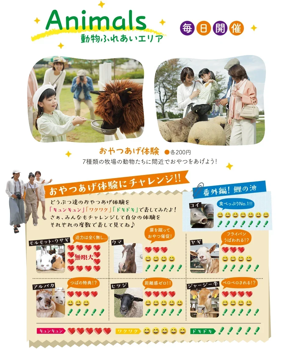 動物