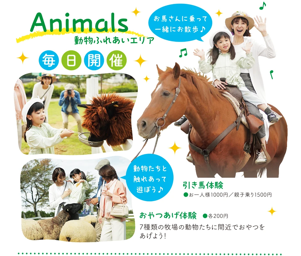 動物