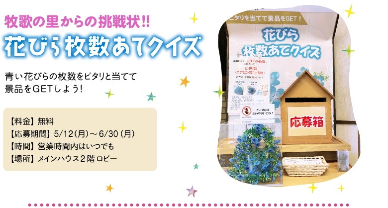 花びら枚数あてクイズ - 青い花びらの枚数をピタリと当てて
景品をGETしよう！