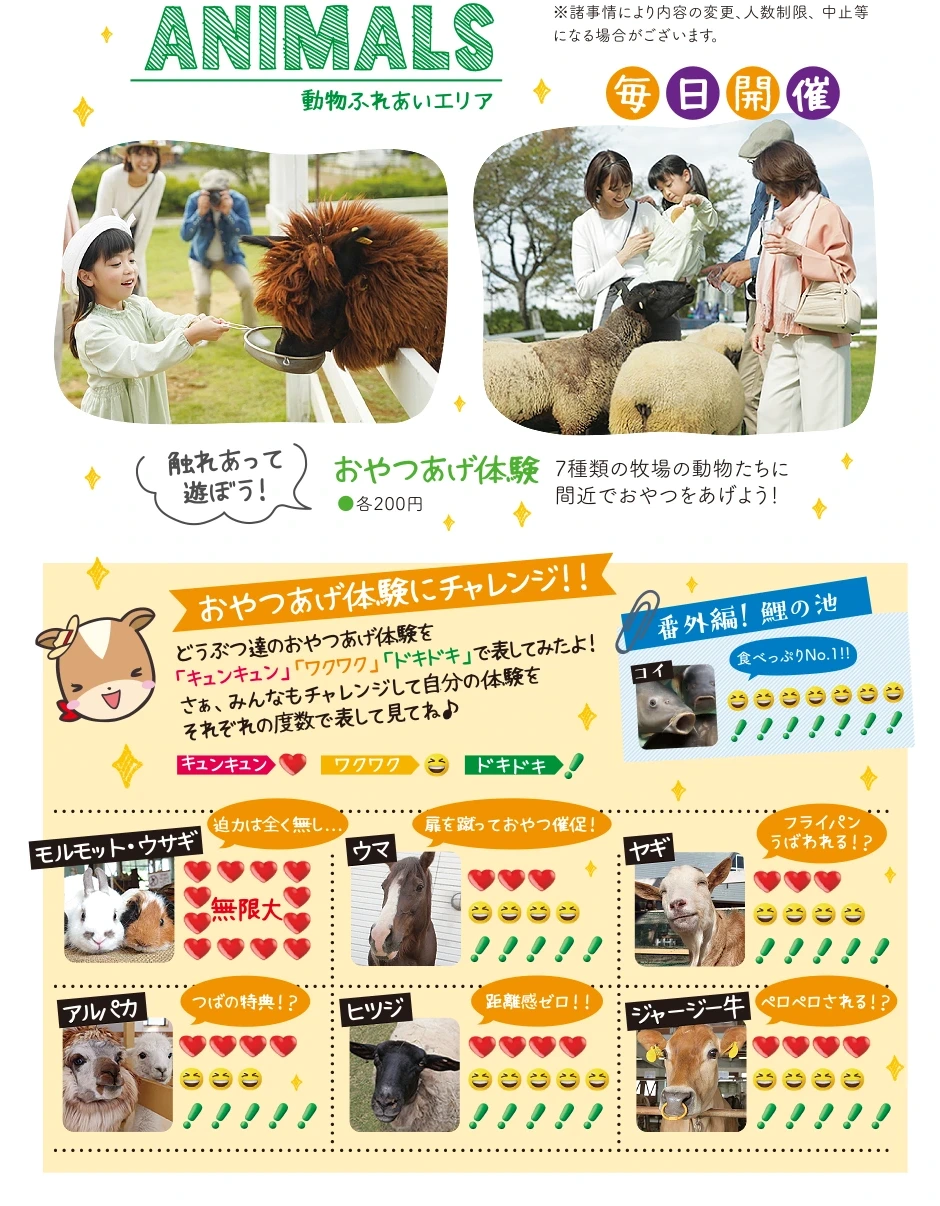 動物