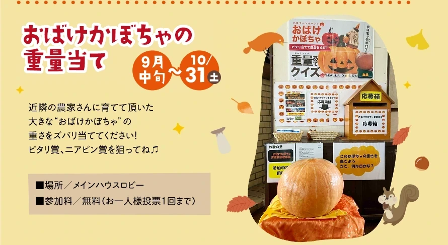 おばけかぼちゃの重量当て