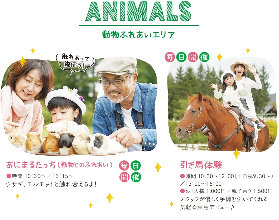 動物エリア - 「あにまるたっち」うさぎ、モルモットと触れ合える！ 「おやつあげ体験」もできる