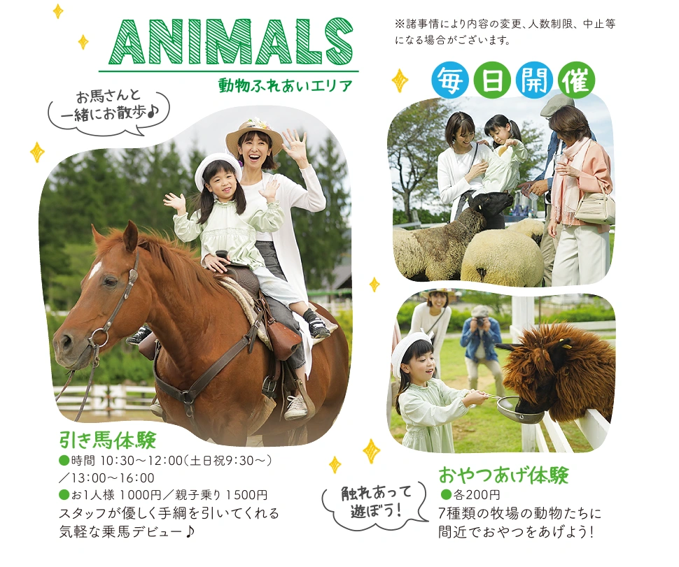動物