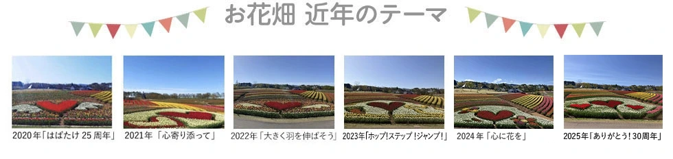お花畑 近年のテーマ
