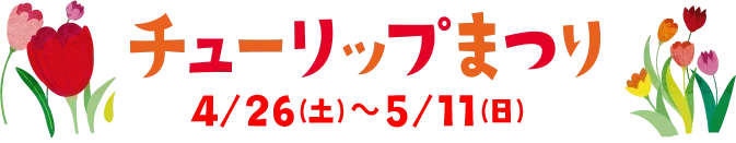 チューリップまつり - 5/1(水)～5/15(水)