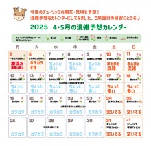 チューリップ見頃・混雑カレンダーを更新しました！