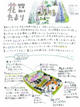 2025年　農園スタッフからの『花たより7月号』