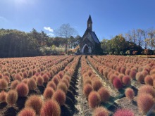 10/30(木)牧歌の里の天気「晴れ」ポカポカ暖かい紅葉を楽しむ散策日和