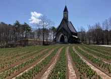 4/11(土)　休園中の牧歌の里　グリーンシーズンまであと7日