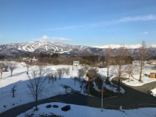 日射しが強くなってきましたね。