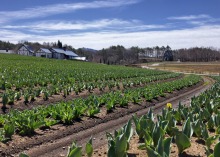 4/12(日)　休園中の牧歌の里　グリーンシーズンまであと6日