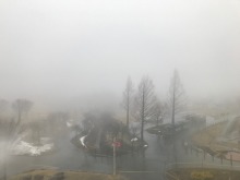 雨ですね~
