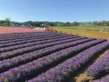 いいお天気ですね~