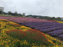 「星空観望会」は中止とさせていただきます。