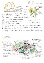 2026年　農園スタッフからの『花たより8月号』