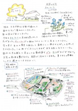 2026年　農園スタッフからの『花たより6月号』