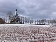 3/8(日)牧歌の里の天気《晴れ》ジャージー牛の「サワー」くん♡