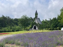 7/18（土）牧歌の里の天気《曇り》夏休みは避暑地「ひるがの高原」へエスケ〜プ！