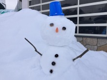 2/1(日)牧歌の里の天気《曇り時々雪》空から舞い降りる雪