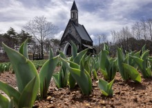 4/5(日)　休園中の牧歌の里　グリーンシーズンまであと13日