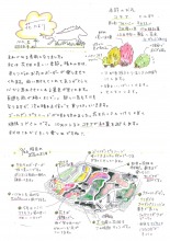 2026年　農園スタッフからの『花たより9月号』