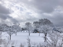 【牧歌の里ウインターシーズン12月20日OPEN！】雪は積雪15cm