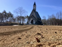 3/16(月)牧歌の里の天気《晴れ》春を待つチューリップの赤ちゃん♡