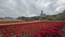 10/18（日）牧歌の里の天気《晴れ》コスプレで入園料無料！フライングハロウィン2日目♪