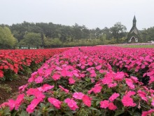 9/7（月）牧歌の里の天気《小雨》秋の長雨で少し肌寒く、長袖がおすすめ