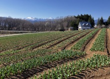 4/8(水)　休園中の牧歌の里　　　グリーンシーズンまであと10日