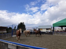 【12/19まで休園中の牧歌の里】ウインターシーズンまで残り19日！積雪０cm