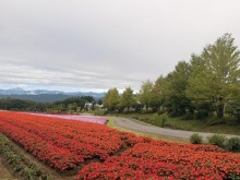 9/10（木）牧歌の里の天気《曇り時々小雨》秋晴れが恋しくなる天気♪涼しくて気持ちがいいです！