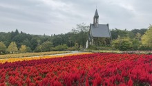9/26（土）牧歌の里の天気《雨》秋の交通安全運動実施中！皆んなで守ろう交通安全♪