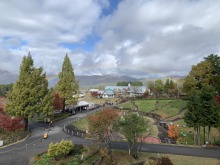 10/31(金)牧歌の里の天気「曇り時々晴れ」『黄金（こがね）色』のコキアちゃんと虹の架け橋♪