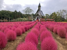 10/14(火)牧歌の里の天気「曇り」雨予報はハズレ？折りたたみ傘はあると安心！
