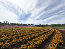 8/9（日）牧歌の里の天気《曇り時々晴れ》高原の雨の涼しさを味わって♪12時頃〜15時に雨の予報！