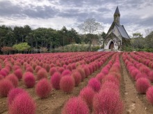 10/21(火)牧歌の里の天気「曇り」気温１０℃を下回る！！冬の気配と紅葉の始まり♪