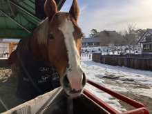 【牧歌の里ウインターシーズン12月20日OPEN！】雪が溶けていく〜積雪15cm